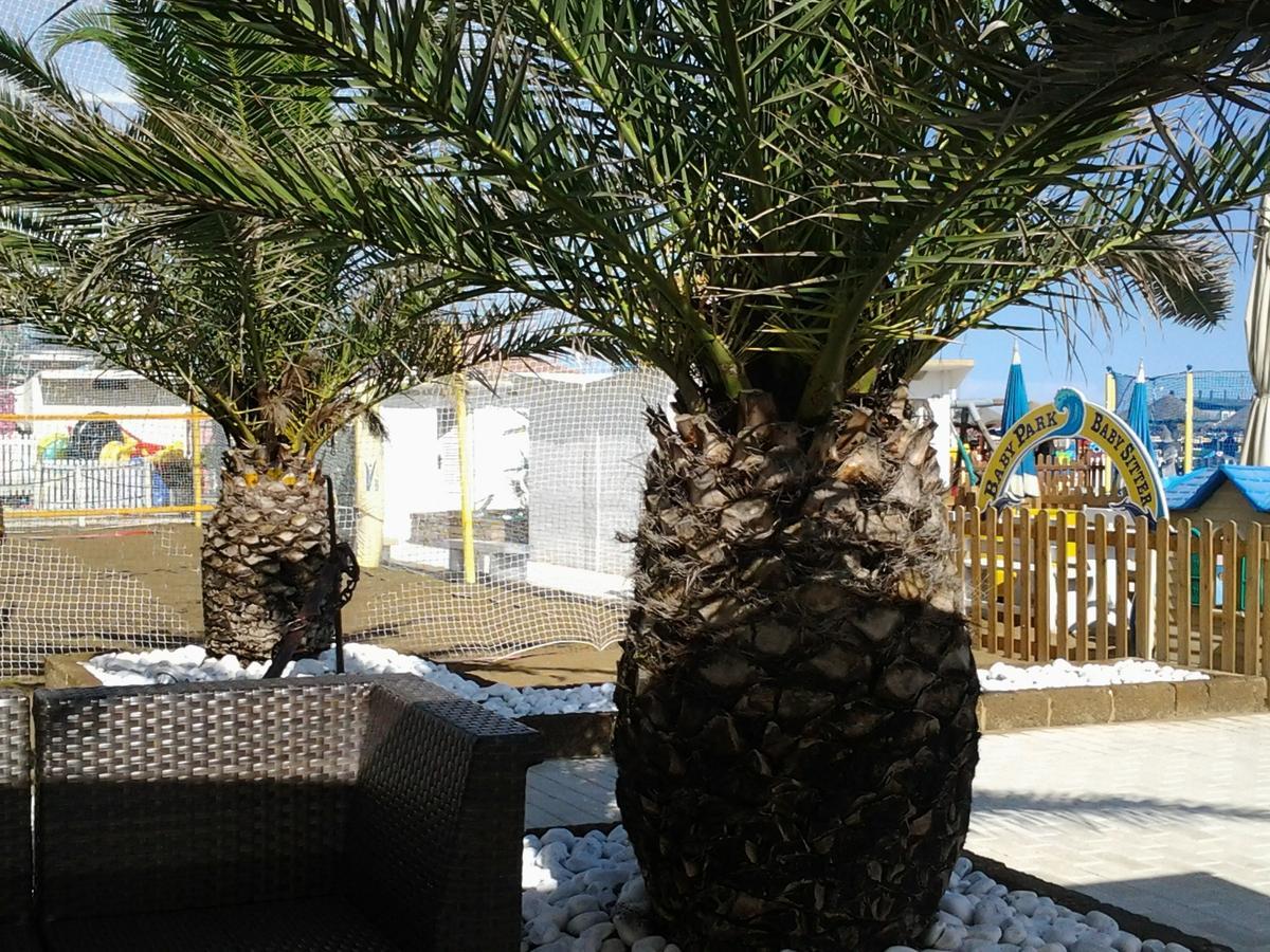 Residence Adriatico Gabicce Mare Kültér fotó